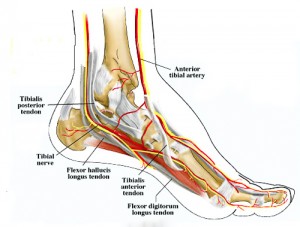 Nerve Entrapment | Nerve Entrapment Treatment | Burning